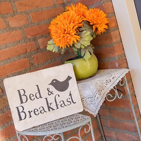 B&B Acacia-2